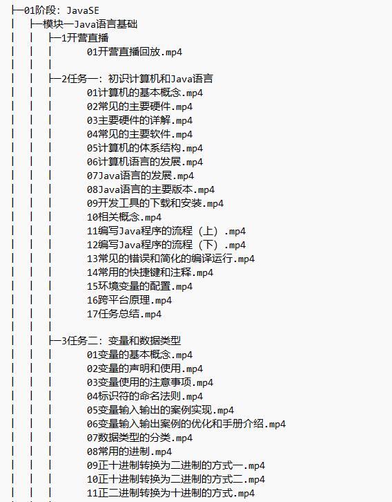 大數(shù)據(jù)開(kāi)發(fā)高薪訓(xùn)練營(yíng) 視頻教程 下載  圖1
