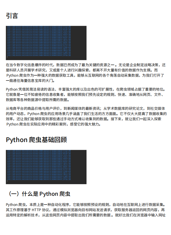Python爬蟲：自動(dòng)化數(shù)據(jù)抓取技術(shù)及其廣泛應(yīng)用實(shí)例 PDF 下載 圖1
